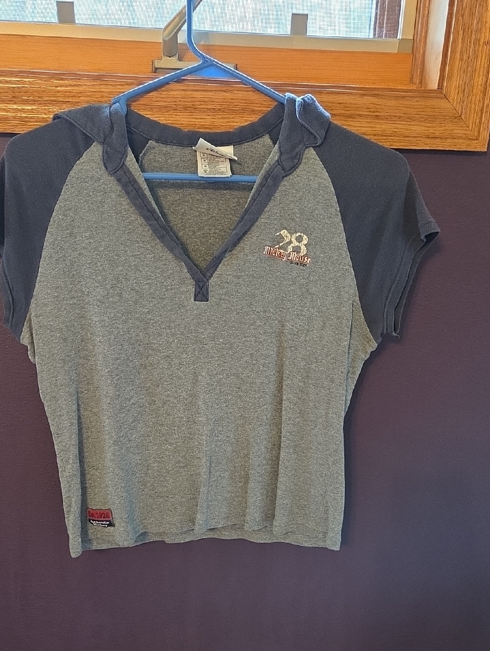 Disney Grey and Navy Hooded Raglan Tee